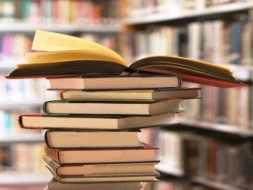 Xarici sözlərin milli qarşılıqları niyə yaradılmır? - VİDEO