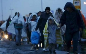 Türkiyədə bu qədər immiqrant var