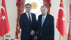 Ərdoğan İbrahimoviçi qəbul etdi