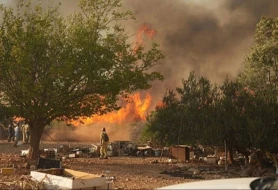 Türkiyədə meşə yanğınları ilə mübarizə davam edir