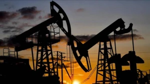 Bu ölkədə 40 qanunsuz neft emalı zavodu məhv edildi