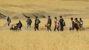 İranda Milli Miqrasiya İdarəsi yaradılır
