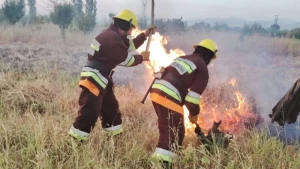Naxçıvanda baş verən yanğınlar söndürüldü