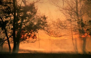 Rusiya 40 regionda meşə yanğını təhlükəsi ilə üzləşəcək 