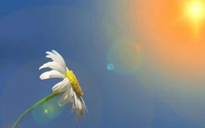 Avqustun son günü hava necə olacaq? 