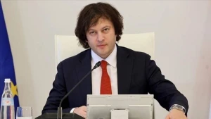 \"Gürcüstanda siyasi böhran yoxdur\" 