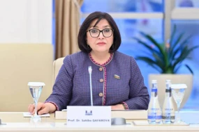 Heç kim Azərbaycana təzyiq göstərə bilməz - Sahibə Qafarova