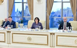 Fransa Cənubi Qafqazda sülhün əldə olunmasını istəmir