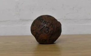 285 illik limon hərracda satıldı - FOTO