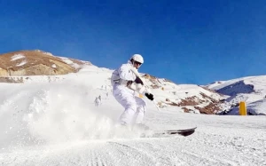 Müdafiə Nazirliyi həftəlik icmalını təqdim etdi - VİDEO