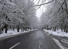 Bu rayonlarda qar yağır - Faktiki hava