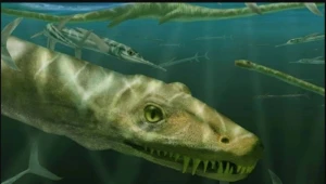 Alimlər 240 milyon illik \"əjdaha\" fosilini tapdılar