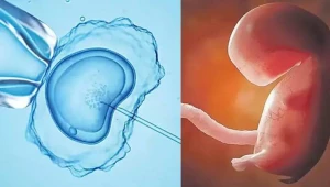 Dondurulmuş embrionlar \"uşaq\" hesab olunacaq