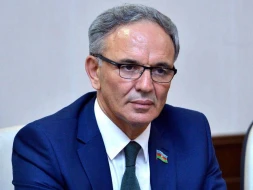 Əflatun Amaşova ağır itki üz verdi 