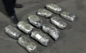 Ötən gün Azərbaycanda 30 kiloqramdan çox narkotik vasitə aşkarlandı