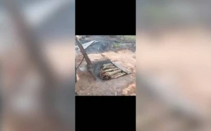 Göyçayda qanunsuz kömür quyuları aşkarlandı