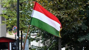Macarıstan İsveçin NATO-ya üzvlüyünü dəstəklədiklərini açıqladı