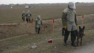 ANAMA işçi AXTARIR