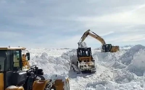 Müdafiə Nazirliyi həftəlik icmalını yaydı - VİDEO