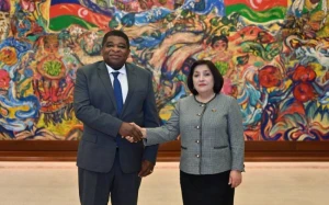 Sahibə Qafarova Baş katiblə görüşdü 