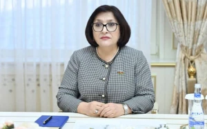 Fransa Cənubi Qafqazda sülhün təmin olunmasını istəmir - SPİKER