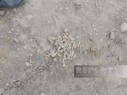 Cəlilabadda yağış suları tarixi hesab edilən məzarı üzə çıxarıb - FOTO