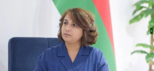 İnarə Vəliyevanın rəhbərlik etdiyi Agentlik şirkətlərə borcunu niyə ödəmir? - Şikayətə rəsmi CAVAB
