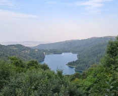 1 ildir axtarılan kişinin sevgilisi ilə meyitləri asılmış vəziyyətdə tapıldı