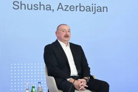 \"Bizim COP heyətimiz çox səmərəli işləyir\" 