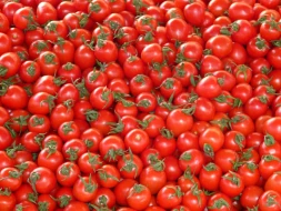 Pomidorun qiyməti nə vaxt düşəcək? 