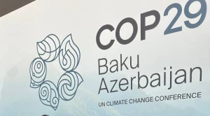 COP29 Könüllülük Proqramı üzrə müsahibələr yekunlaşdı