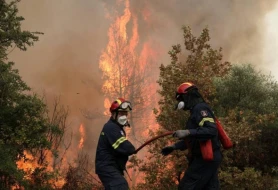 Bu ölkədə bir gündə 54 meşə yandı