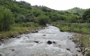 Tovuzda çayda deformasiyaya uğramış meyit tapıldı