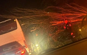 Bakıda külək ağacları aşırdı - Fotolar