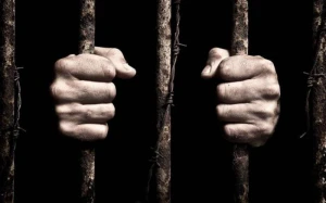 Gürcüstanda məhbusların sayı ARTIR