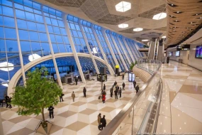İnterpolun axtardığı şəxslər Bakı aeroportunda tutuldular