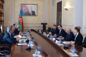 Dövlət Komitəsinin Sədri Beynəlxalq Bəhai İcmasının BMT-dəki baş nümayəndəsi ilə görüşüb