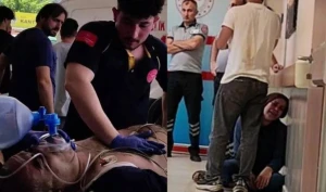 Arı sancan kişi öldü