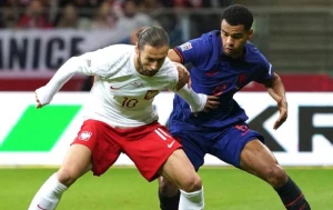 Polşa-Niderlanda qarşı 