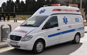 Qadını doğuşa aparan təcili yardım maşınının üstünə ağac aşdı - VİDEO