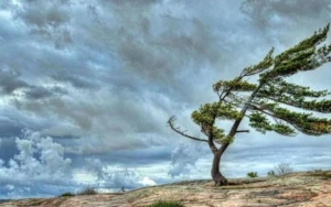 Bu ərazilərdə küləyin sürəti gücləndi - FAKTİKİ HAVA