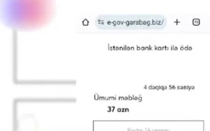 “Qarabağda iş” adı altında saxta elan səhifələri peyda oldu - VİDEO