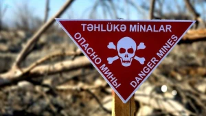 Beynəlxalq ictimaiyyət İrəvana təzyiq göstərməlidir