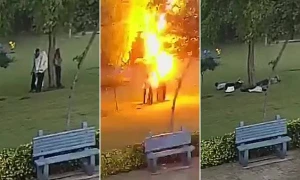 Yağışdan qorunmaq üçün sığındıqları ağac sonları oldu: İldırım vurdu - VİDEO