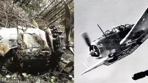 Müharibədə itən təyyarə 80 ildən sonra tapıldı - FOTO