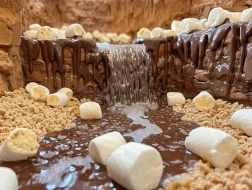 Baş nazir təkrar seçki üçün “Şokolad şəlaləsi” vədi verdi