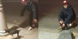 Elektrik sızmasını yoxlamaq üçün itdən istifadə etdi - VİDEO