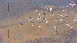 Rusiya Ukrayna helikopterlərini vurdu 