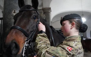 Danimarka qadınları hərbi xidmətə çağırmaq qərarına gəlib