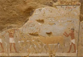 4800 il əvvələ aid sərdabə tapıldı